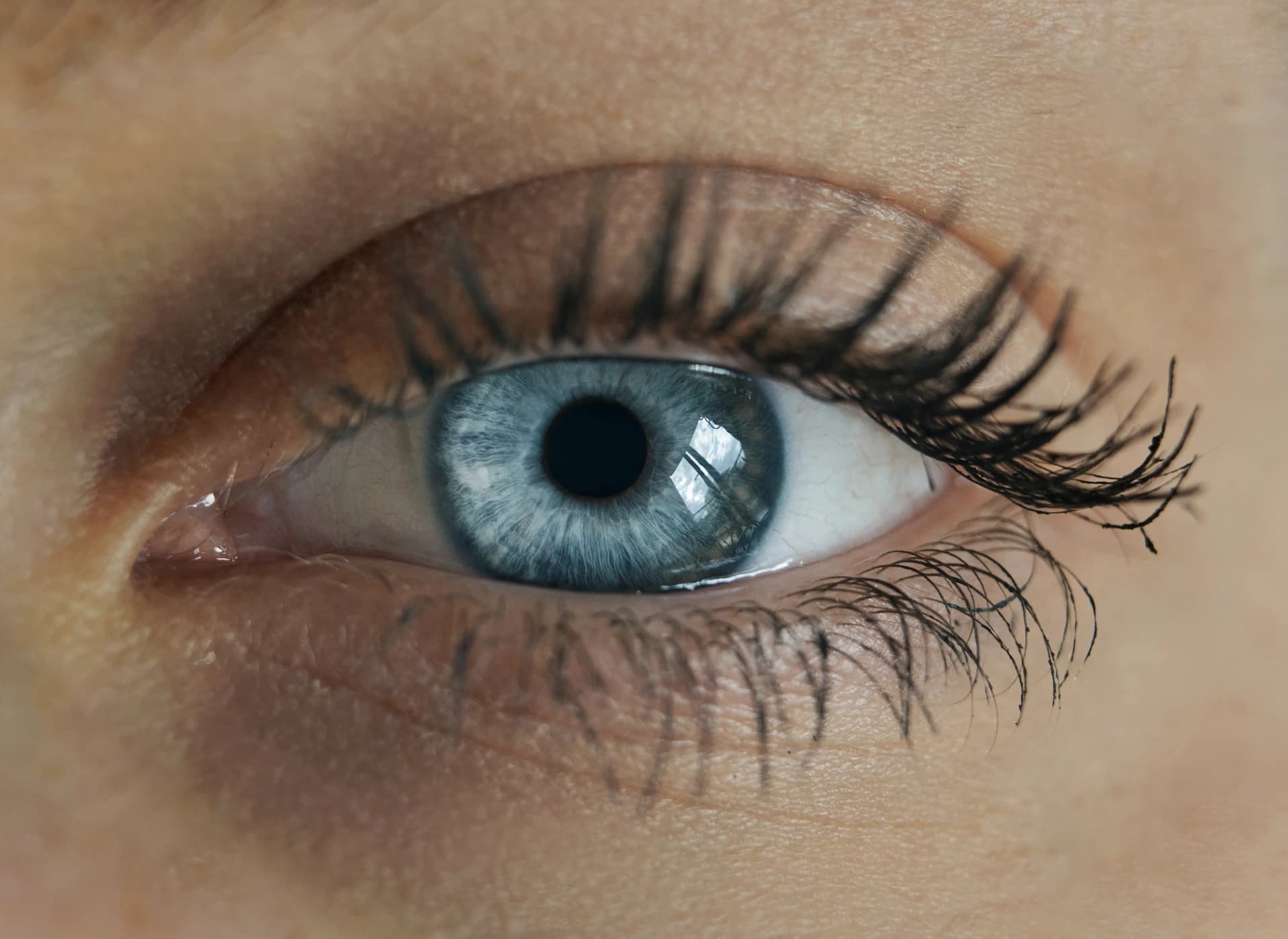 Understanding Your WilsonAI Personas